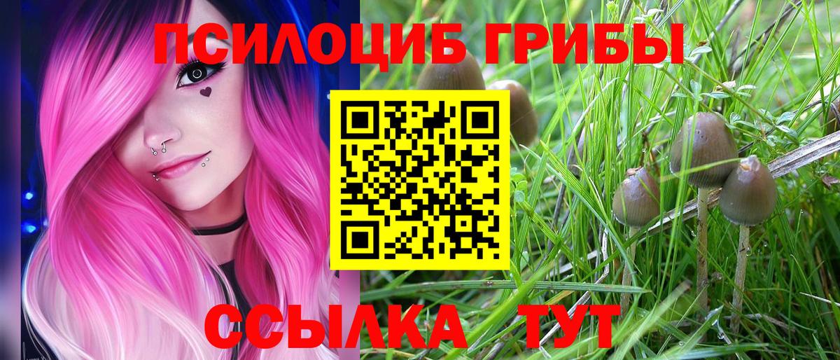 где купить наркоту  Галлюциногенные грибы Magic Shrooms  Вход с VPN  Псилоцибиновые грибы Psilocybine cubensis  Салехард 