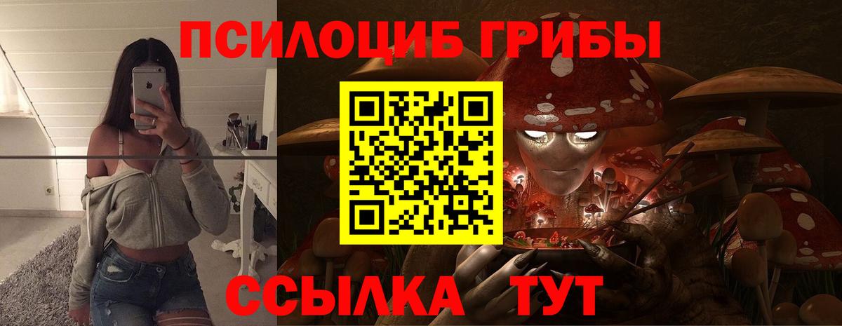 Псилоцибиновые грибы Psilocybine cubensis Салехард